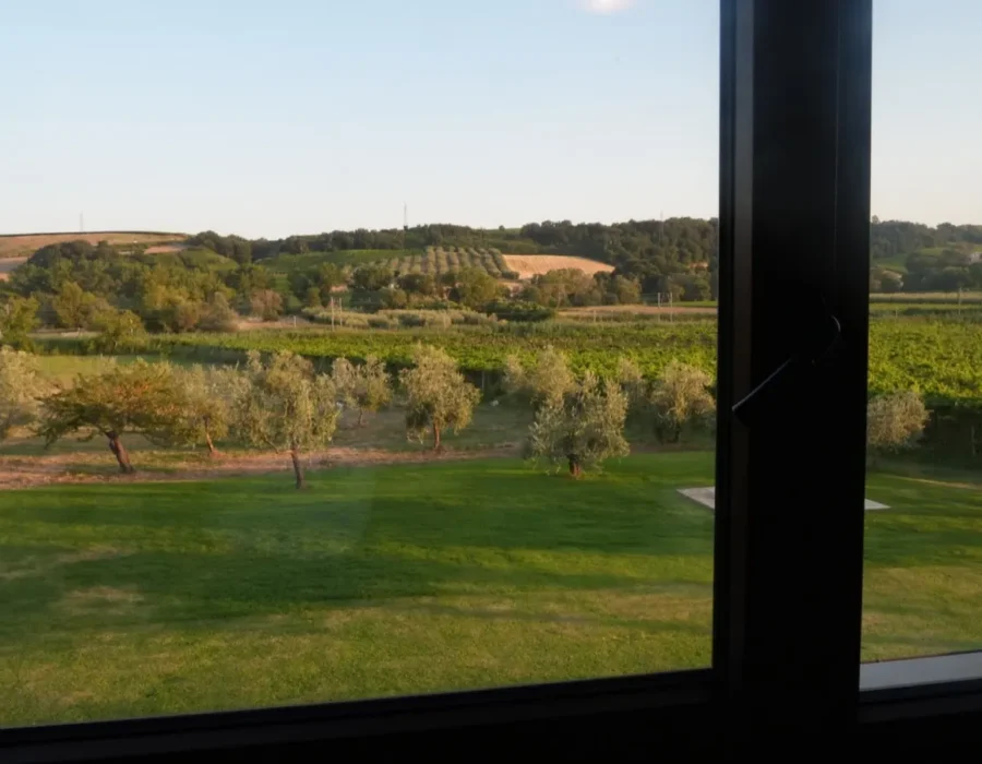 Foto degli spazi comuni (3)