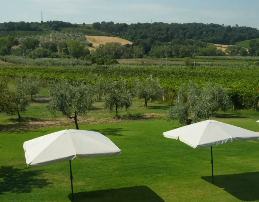 Foto nella Parte Nuova Boutique (13)