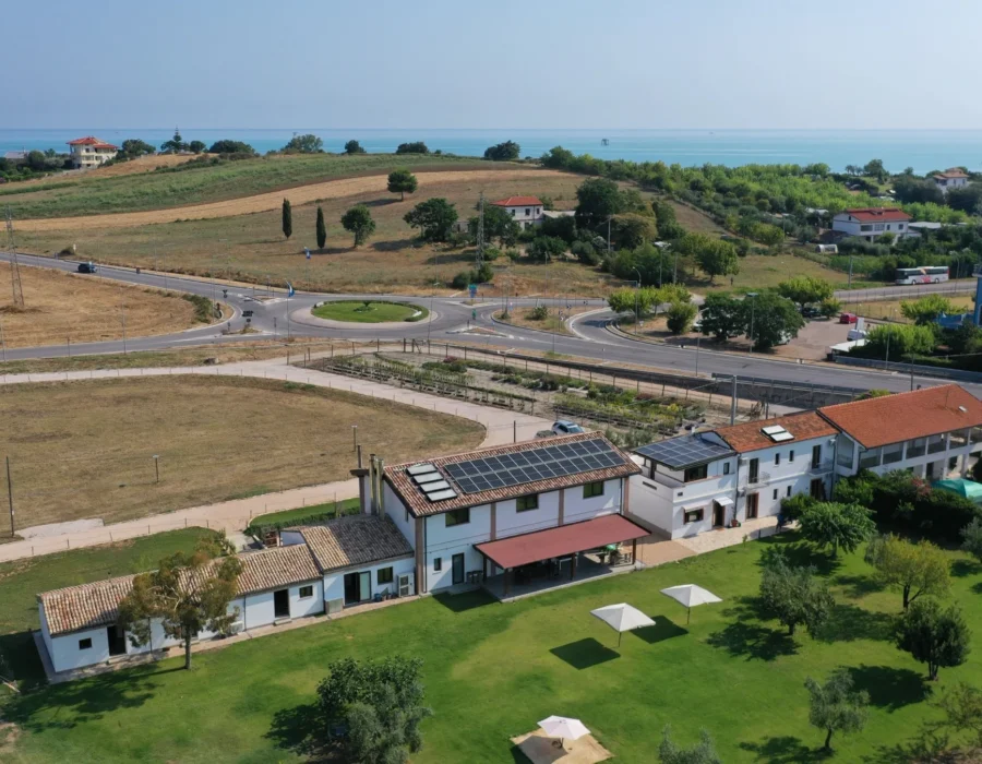 Vista aerea di Casa Tratturo tra vigneti e uliveti, con il mare sullo sfondo